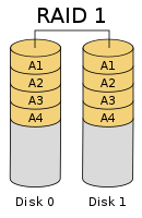 raid1